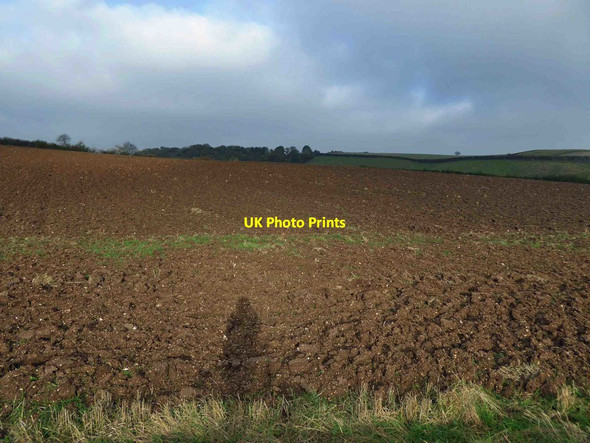 Photo 6"x4" Ploughed field Hatcliffe c2015