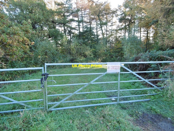 Photo 6"x4" East Hill, gate Batcombe\/ST6104 c2015