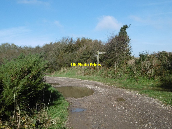 Photo 6"x4" Gore Hill, bridleway junction Hilfield c2015