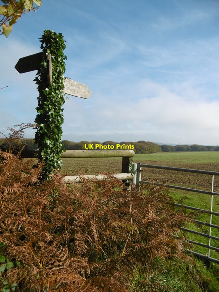 Photo 6"x4" Gore Hill, footpath marker Hilfield c2015