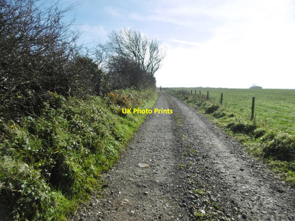 Photo 6"x4" Up Sydling, bridleway Up Sydling c2015