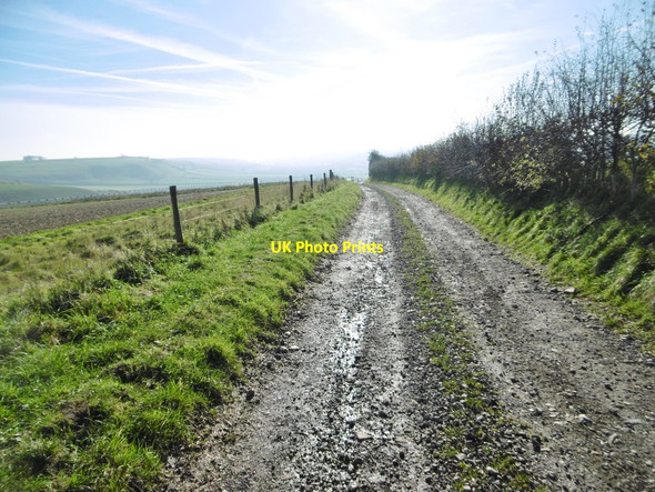Photo 6"x4" Up Sydling, bridleway Up Sydling c2015