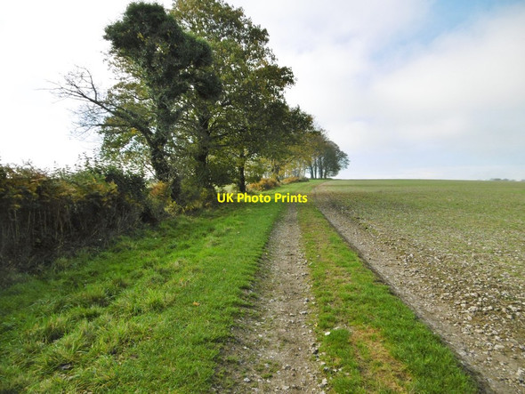 Photo 6"x4" Up Cerne, Wessex Ridgeway Hilfield c2015