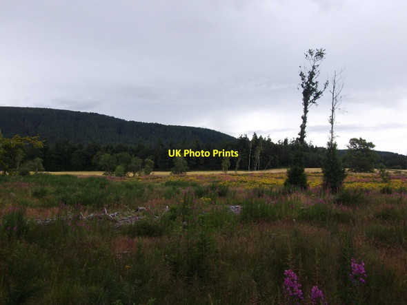 Photo 6"x4" Toll Belt Evanton\/Baile-Eoghain c2015