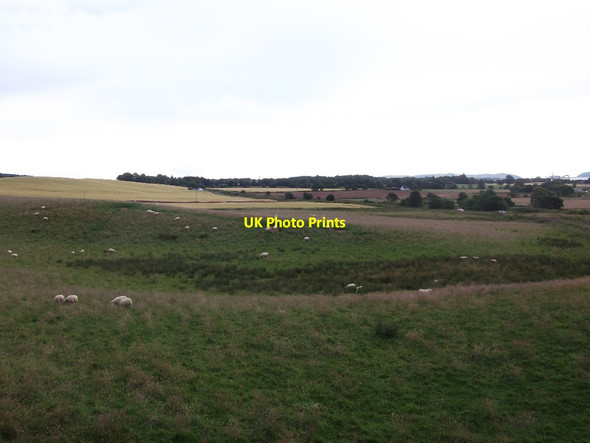 Photo 6"x4" Farmland by Alness Alness c2015