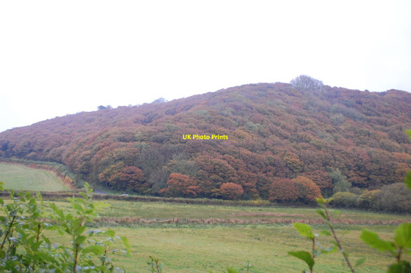 Photo 6"x4" Top of Cwm Gwaun Pentrisil c2015
