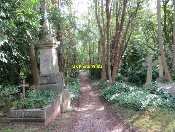 Photo 6"x4" Path through the Cemetery Camden Town c2015