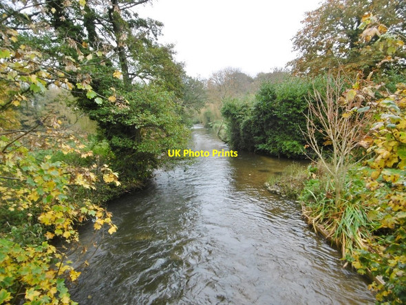 Photo 6"x4" Bradford Peverell, River Frome Stratton\/SY6593 c2015