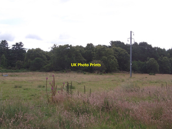 Photo 6"x4" Field, Lamington Hartmount c2015