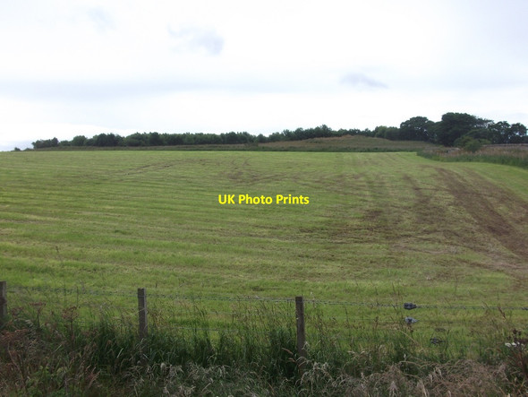 Photo 6"x4" Harvested silage, Morangie Morangie c2015