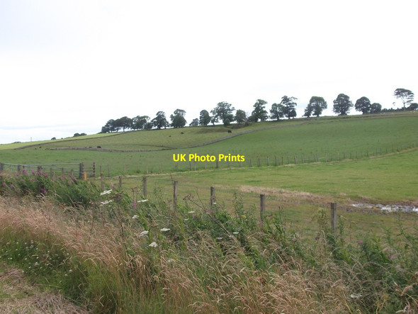 Photo 6"x4" Fields, Ardjachie Morangie c2015