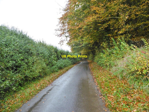 Photo 6"x4" Bradford Peverell, Roman Road Muckleford c2015