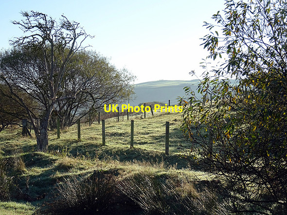 Photo 6"x4" Hillock east of Borth Borth c2015