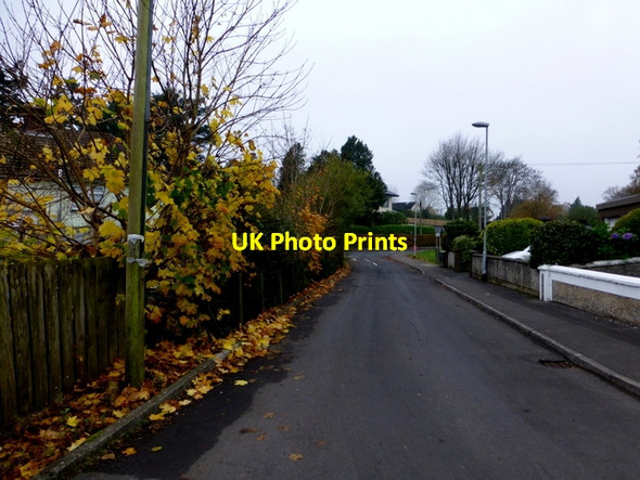Photo 6"x4" Woodvale Avenue, Omagh Omagh c2015