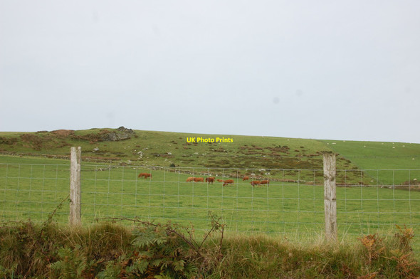 Photo 6"x4" Pasture by the B4313 Greenway\/SN0630 c2015