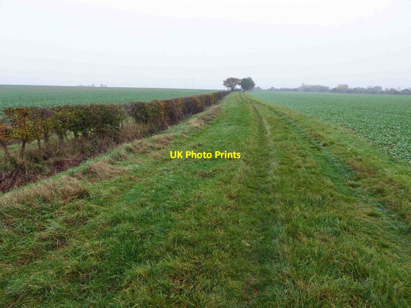 Photo 6"x4" Byway carrying NCN route 647 High Marnham c2015