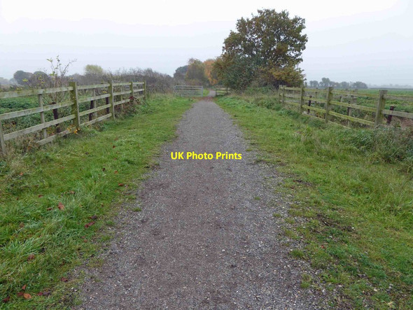 Photo 6"x4" NCN route 647 Wigsley c2015