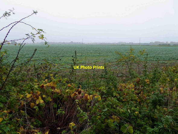 Photo 6"x4" Flat Lincolnshire farmland Skellingthorpe c2015