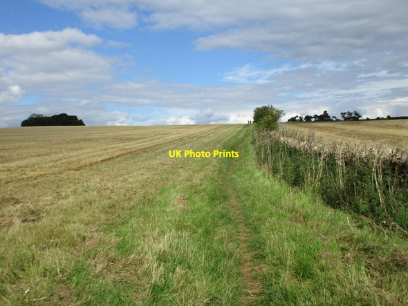 Photo 6"x4" Bridleway on Bredon Hill Conderton c2015