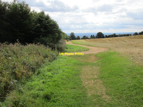 Photo 6"x4" Bridleway to Kemerton Bredon's Norton c2015