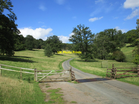 Photo 6"x4" Cattle grid in Overbury Park Overbury c2015
