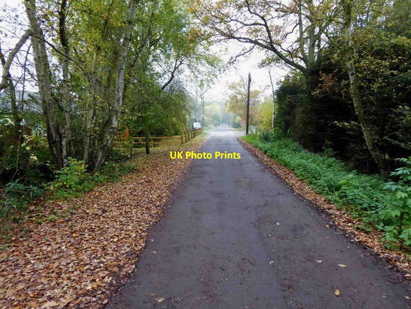 Photo 6"x4" Woodbank goes into the woods Skellingthorpe c2015