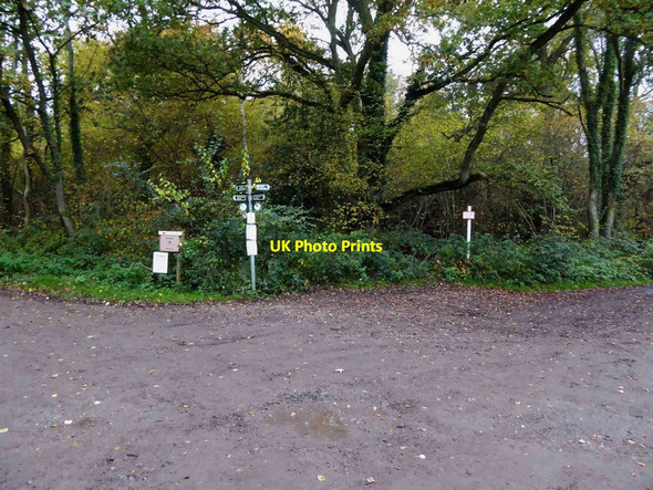 Photo 6"x4" Old Wood bridleway junction Doddington\/SK9070 c2015