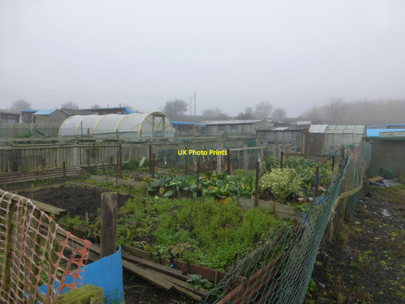 Photo 6"x4" Allotments at Pegswood Bothal c2015