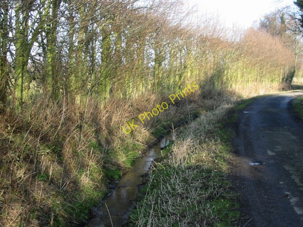 Photo 6"x4" View along Goldstone Drove Lower Goldstone c2009