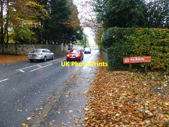 Photo 6"x4" Fallen leaves along the A505 Killyclogher Road, Omagh Omagh c2015
