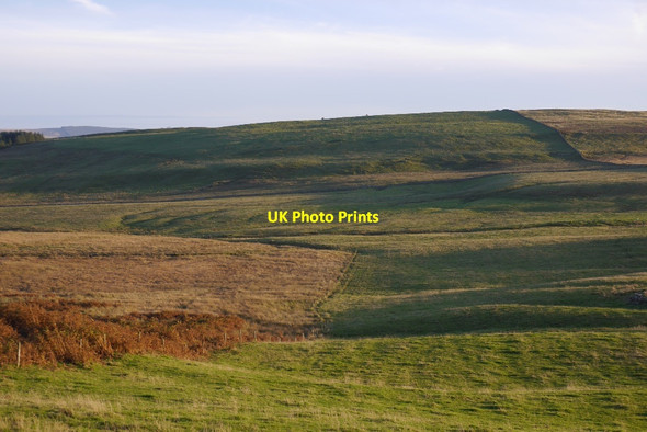 Photo 6"x4" Fields, Branxholme Harwood on Teviot c2015