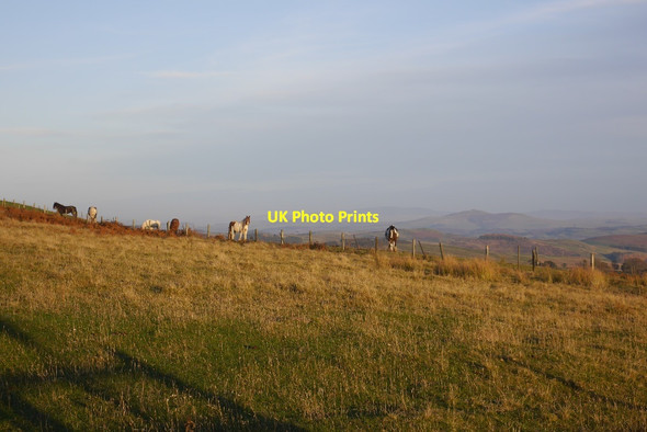 Photo 6"x4" Rough grazing Roberton\/NT4214 c2015