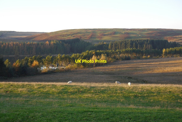 Photo 6"x4" Alemoor Reservoir Roberton\/NT4214 c2015