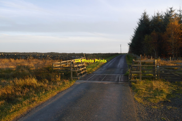 Photo 6"x4" This way to Roberton Roberton\/NT4214 c2015