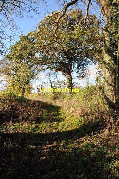 Photo 6"x4" Bridleway to the north east of Werth Farm Chaceley c2015