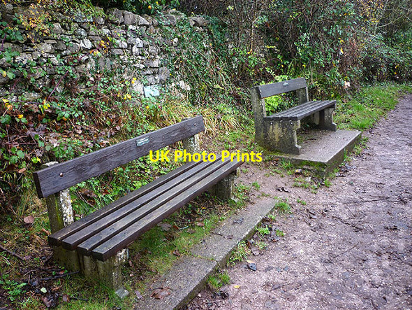 Photo 6"x4" Memorial benches above Red Rake Elmslack c2015