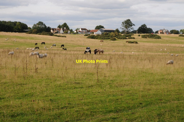 Photo 6"x4" Kempsey Common Stonehall\/SO8848 c2015