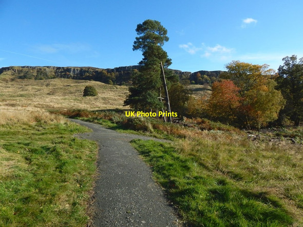 Photo 6"x4" Path in Lang Craigs Woodland Dumbarton c2015