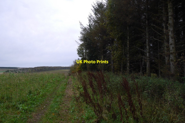 Photo 6"x4" Field edge, Carfrae Carfrae\/NT5769 c2015