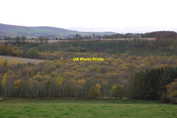 Photo 6"x4" Wooded wetland, Danskine Carfrae\/NT5769 c2015