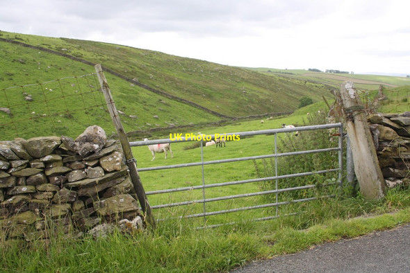 Photo 6"x4" Gateway to field which Tongue Gill flows through Stainforth\/SD8267 c2015