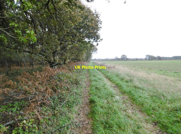 Photo 6"x4" Sowley, farm track East End\/SZ3697 c2015