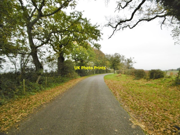 Photo 6"x4" Sowley Lane East End\/SZ3697 c2015