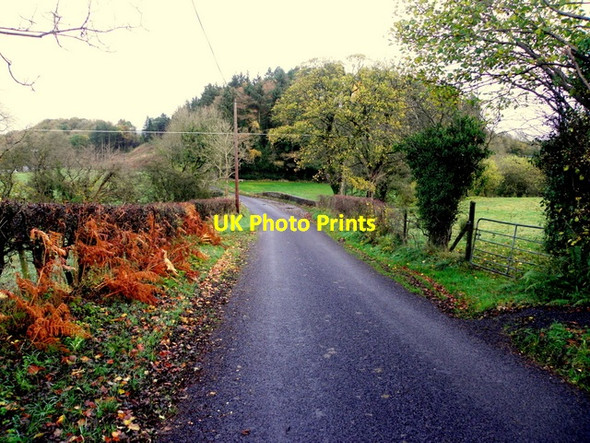 Photo 6"x4" Carrigans Road Mountjoy\/H4277 c2015