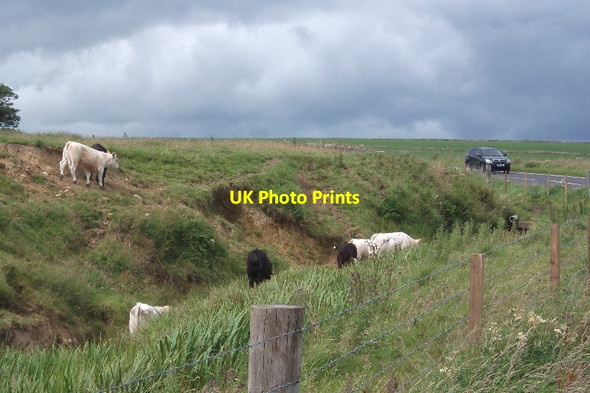 Photo 6"x4" Burn, Wideford Kirkwall c2015