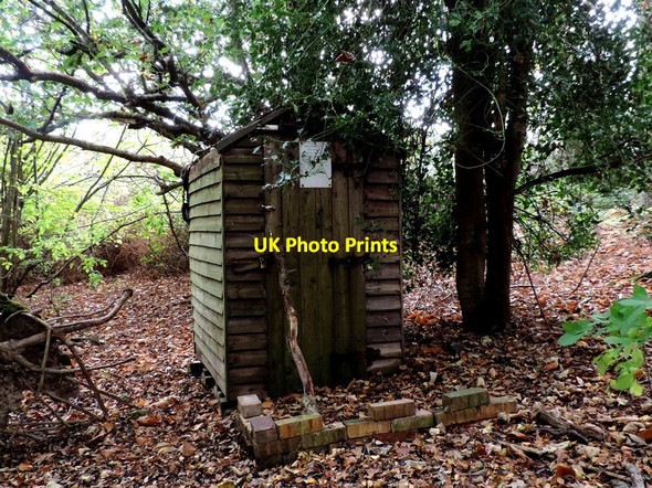 Photo 6"x4" Shed in Framabo Wood Sedlescombe c2015