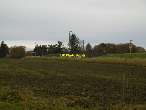 Photo 6"x4" Field by RM Condor Woodville Feus c2015