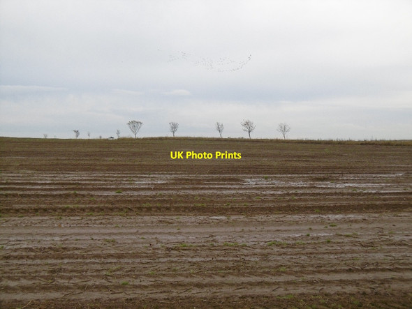 Photo 6"x4" Potato field, Woodville Feus Woodville Feus c2015