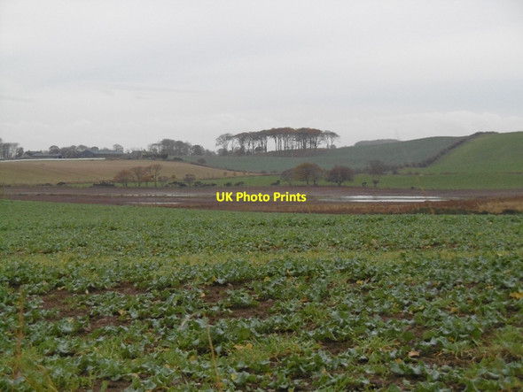Photo 6"x4" Towards Lochaber Woodville Feus c2015
