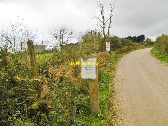 Photo 6"x4" Exbury, signpost Exbury c2015